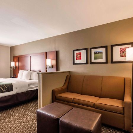 Comfort Suites Tuscaloosa Near University Eksteriør bilde