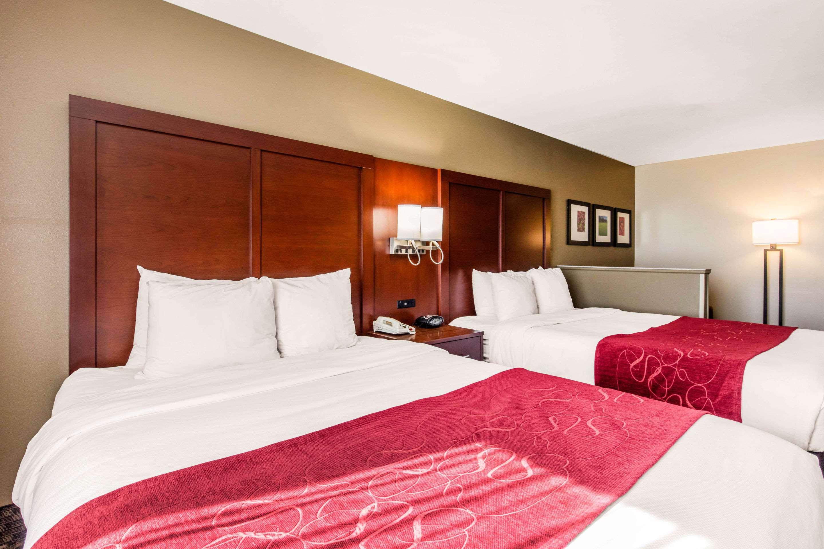Comfort Suites Tuscaloosa Near University Eksteriør bilde